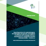 Reporting protocol for epidemiological, microbiological and genomic investigation of outbreaks and emerging resistance mechanisms for carbapenem-resistant Enterobacterales – version 3.0