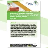 Cover of the Rapid Outbreak Assessment on the multi-country outbreak of Salmonella