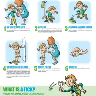 Poster on ticks for school children living in endemic areas​​