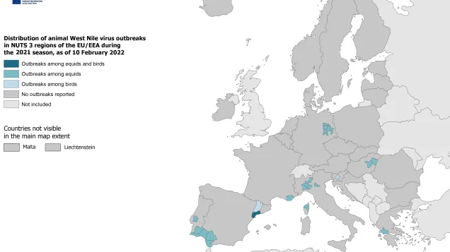 West Nile virus outbreaks among equids and birds, 2021 transmission season