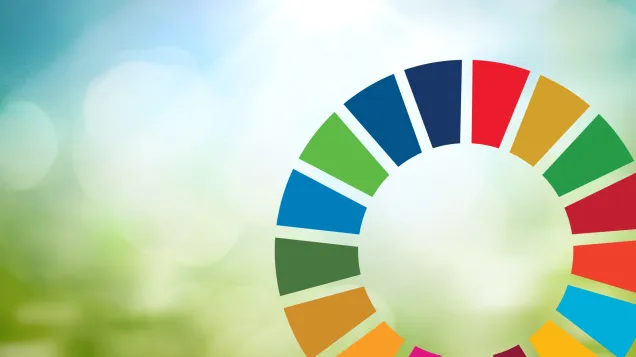 Sustainable development goals 2025