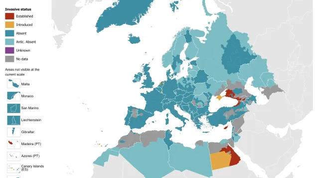 Aedes aegypti - current known distribution: April 2026