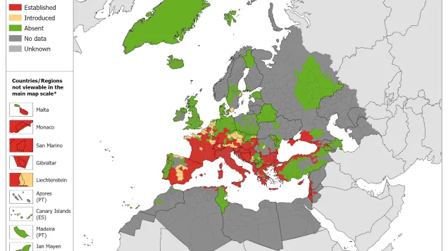 Aedes albopictus map June 2025