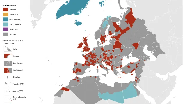 Anopheles claviger s.l. - current known distribution: April 2026
