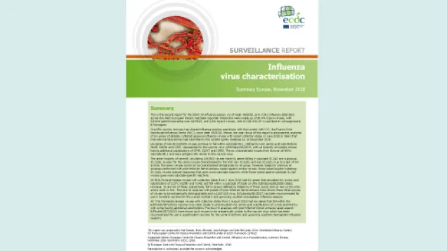 Cover for Influenza virus characterisation November 2018