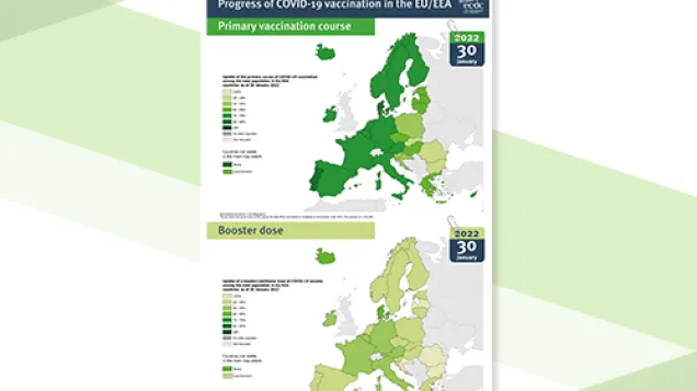 Covid-19 vaccine rollout infographic cover