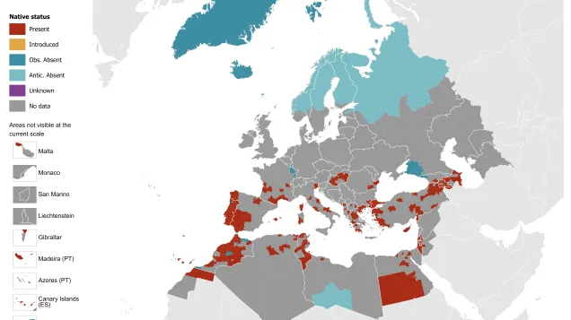 Culex theileri - current known distribution: April 2026