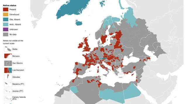 Culiseta annulata - current known distribution: April 2026