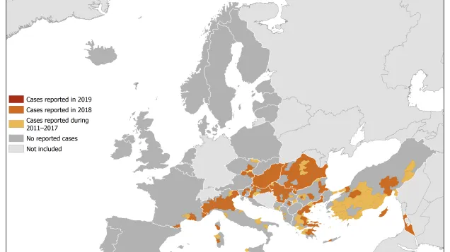 West Nile virus in Europe in 2019 - human cases compared to previous seasons, updated 11 July