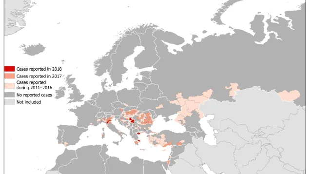 West Nile fever in Europe in 2018 - human cases compared to the previous season; updated 13 July
