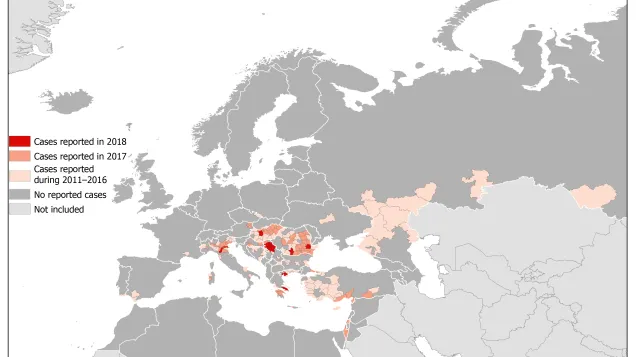 	West Nile fever in Europe in 2018 - human cases compared to the previous season; updated 20 July