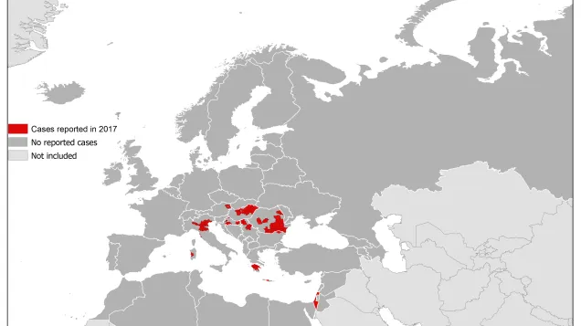 West Nile fever in Europe 2017; updated 13 October