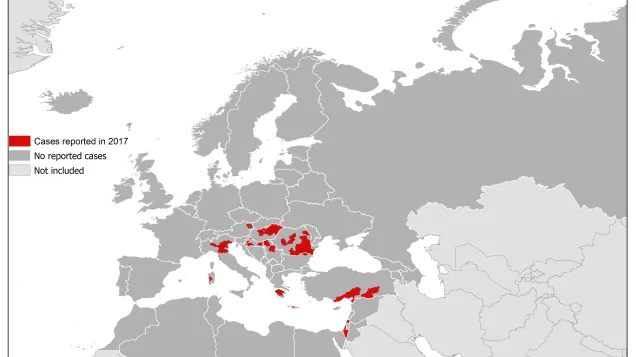 West Nile fever in Europe in 2017; updated 20 October