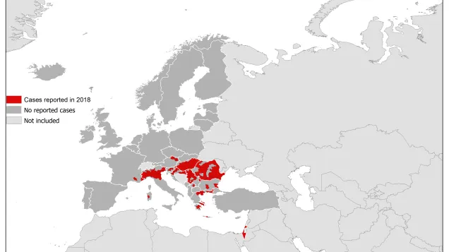 West Nile fever in Europe in 2018 - human cases; updated 21 September