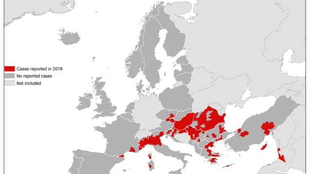 Map showing the distribution of West Nile virus in humans by affected areas in EU/EEA Member States and EU neighbouring countries