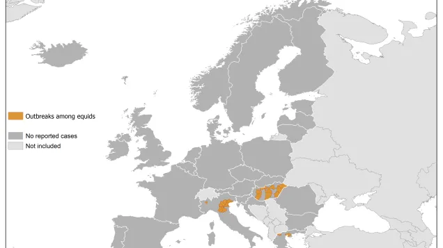 Map - West Nile fever in Europe in 2018 - equine cases; updated 24 August