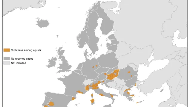 West Nile fever in Europe in 2018 - equine cases; updated 17 November 2018