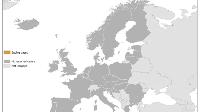 Map: West Nile fever in Europe in 2018 - equine cases; updated 14 June
