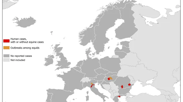 West Nile fever in Europe in 2018 - human and equine cases; updated 20 July