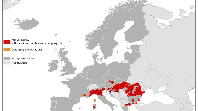 West Nile fever in Europe in 2018 - human and equine cases; updated 21 September