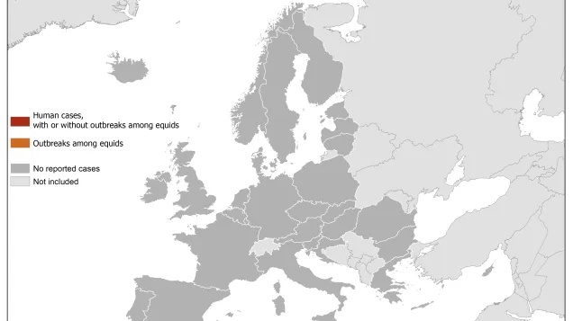 West Nile fever in Europe in 2018 - human and equine cases; updated 7 June