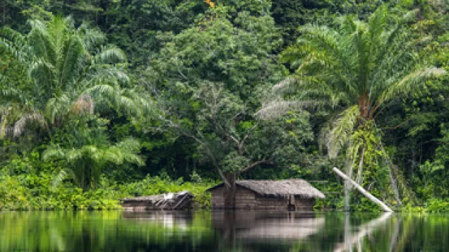 Ebola outbreak in DRC, Congo river