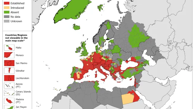 Aedes invasive mosquitoes map June 2025