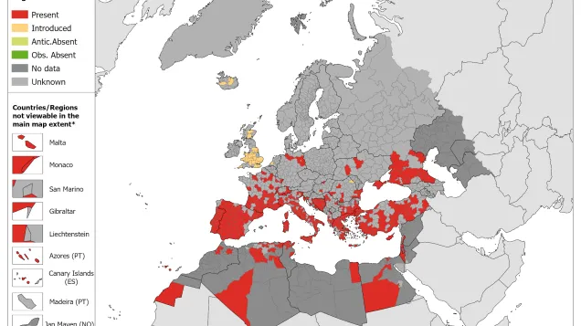 Rhipicephalus sanguineus - current known distribution: October 2023
