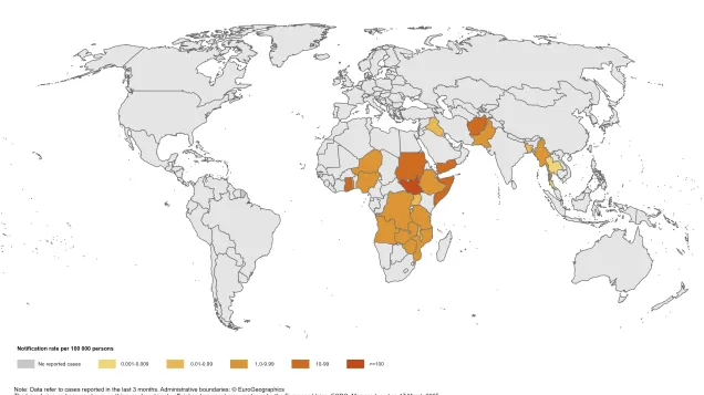 Geographical distribution of cholera cases reported worldwide from February 2025 to April 2025