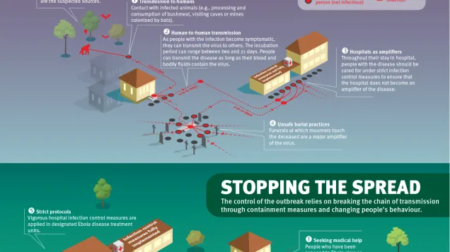 How does Ebola disease spread - infographic