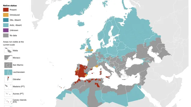 Hyalomma lusitanicum - current known distribution: April 2026.png