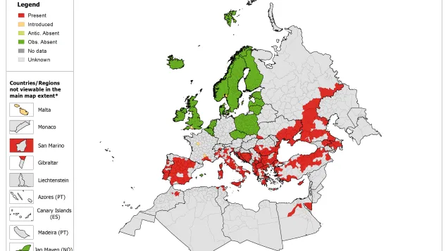 Map showing the current known distribution of Hyalomma marginatum ticks in Europe as of May 2018