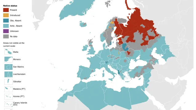 Ixodes persulcatus - current known distribution: April 2026.png
