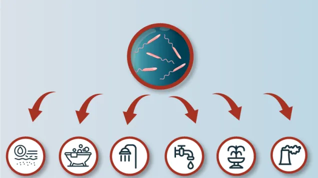 Social media card: Exposure to Legionella bacteria