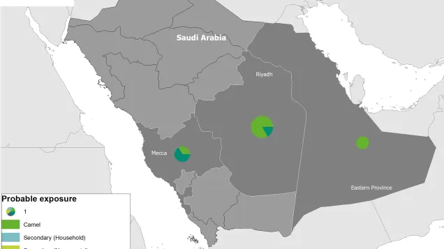 Geographical distribution of confirmed MERS-CoV cases, 1 January 2021 to 4 August 2021