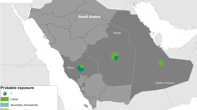 Geographical distribution of confirmed MERS-CoV cases, 1 January 2020 to 30 June 2021