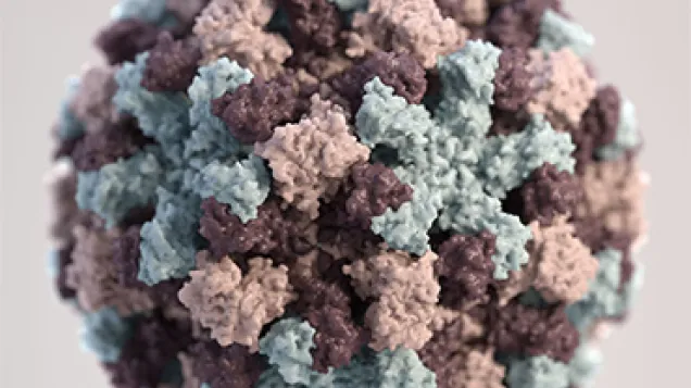 3D graphical representation of a single Norovirus virion. Credit: CDC/ Jessica A. Allen