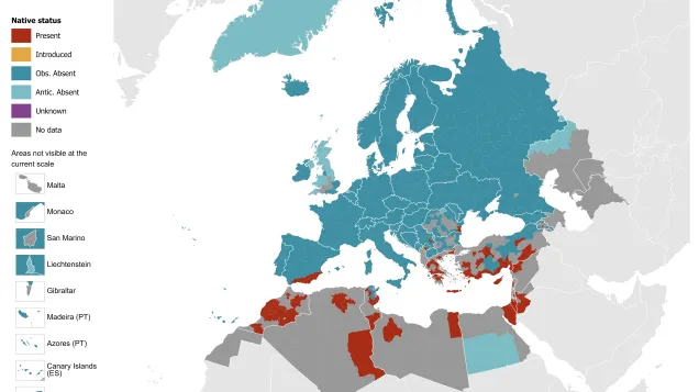 Phlebotomus alexandri - current known distribution: October 2023