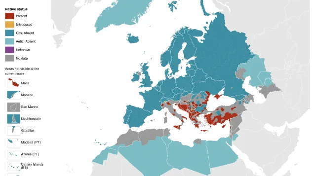 Phlebotomus neglectus - current known distribution: April 2026