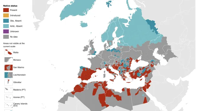 Phlebotomus papatasi - current known distribution: April 2026