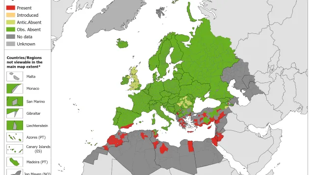 Phlebotomus alexandri - current known distribution: August 2023