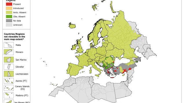 Map showing the distribution of Phlebotomus alexandri ticks in Europe, as of April 2017