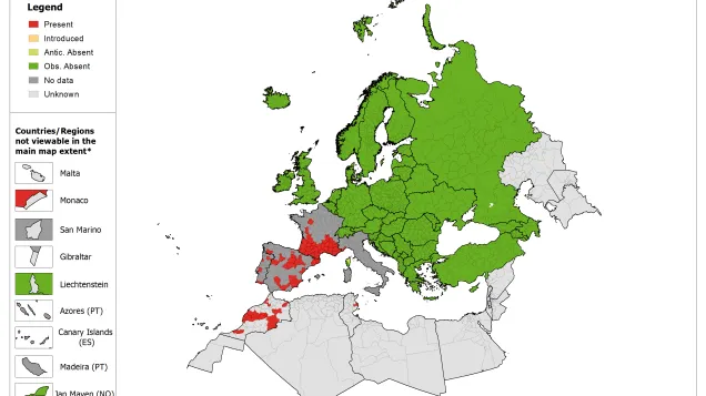 Phlebotomus ariasi - current known distribution in Europe, May 2018