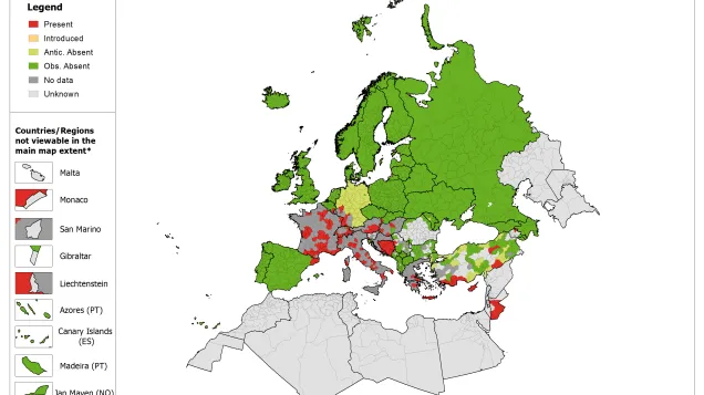 Phlebotomus mascitii - current known distribution: May 2018