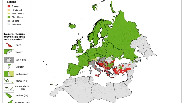 Phlebotomus neglectus - current known distribution: May 2018