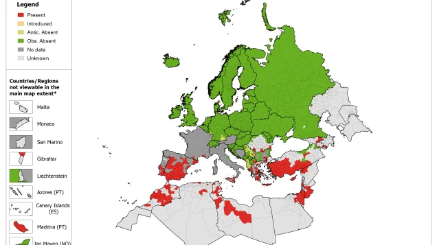 Phlebotomus sergenti - current known distribution in Europe, May 2018
