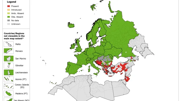 Phlebotomus tobbi - current known distribution: May 2018