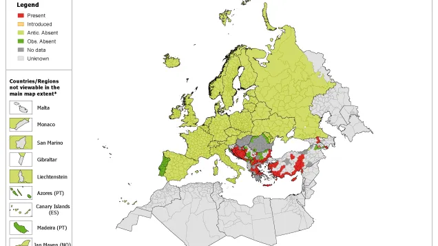 Phlebotomus tobbi - current known distribution: September 2017