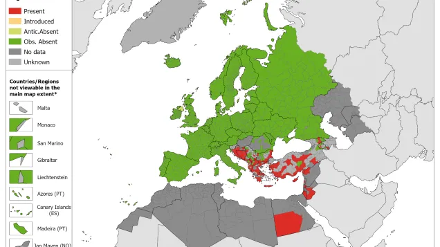 Phlebotomus tobbi - current known distribution: October 2023
