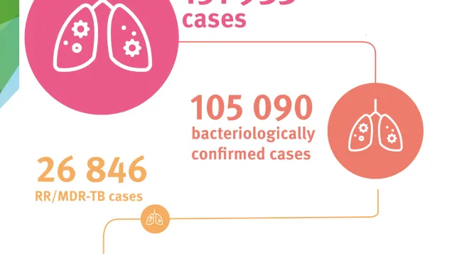 Infographic: Pulmonary TB cases in the European Region, 2024